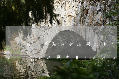 信用卡怎么查逾期次數(shù)(信用卡怎么查逾期次數(shù)的)