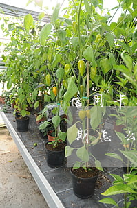 信用卡怎么樣可以消除逾期(征信有信用卡逾期怎么處理可以消除)