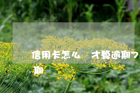信用卡怎么樣才算逾期7(信用卡晚7天算逾期嗎)