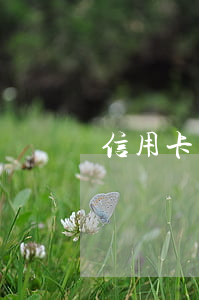 信用卡怎么樣算一次逾期(信用卡逾期幾次)