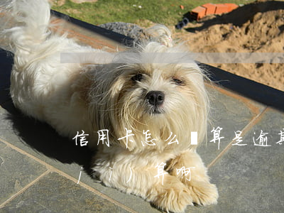 信用卡怎么樣算是逾期(信用卡逾期怎么計(jì)算啊?)