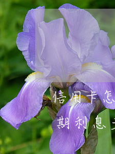 信用卡怎么樣算逾期利息(信用卡怎么樣算逾期利息多少)