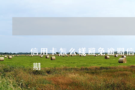 信用卡怎么樣避免逾期（信用卡怎么樣避免逾期）