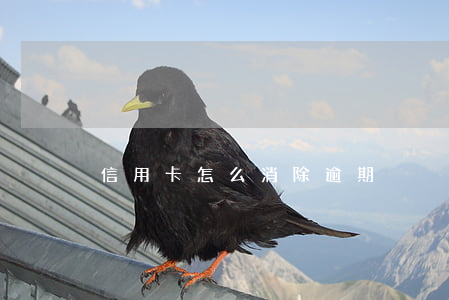 信用卡怎么消除逾期