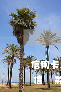 信用卡怎么用微信還款 平安信用卡怎么用微信還款