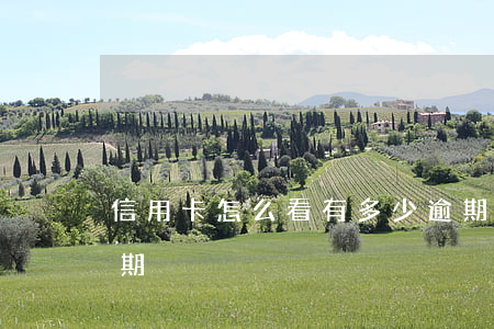 信用卡怎么看有多少逾期(怎么查看信用卡逾期)