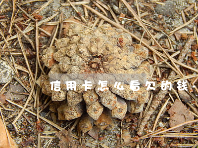 信用卡怎么看欠的钱-信用卡怎么看欠的钱
