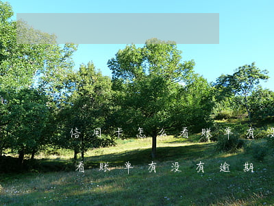 信用卡怎么看账单有没有逾期过（信用卡怎么看账单有没有逾期）