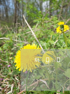 信用卡怎么看逾期多少次(怎么查看信用卡逾期記錄)
