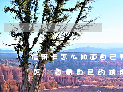 信用卡怎么知道自己有沒(méi)有逾期(怎樣查看自己的信用卡是否有逾期)