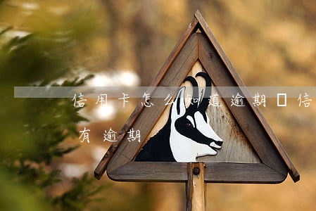信用卡怎么知道逾期沒(信用卡怎么查看有沒有逾期)