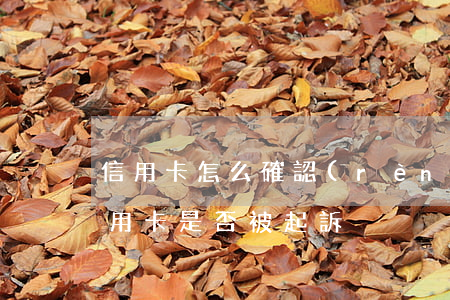 信用卡怎么確認(rèn)被起訴(怎么查信用卡是否被起訴)