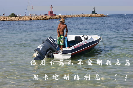 信用卡怎么算逾期利息怎么算(民法典銀行信用卡逾期的利息計(jì)算方法)
