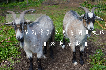 信用卡怎么算逾期還款 信用卡3天內(nèi)還款算逾期嗎