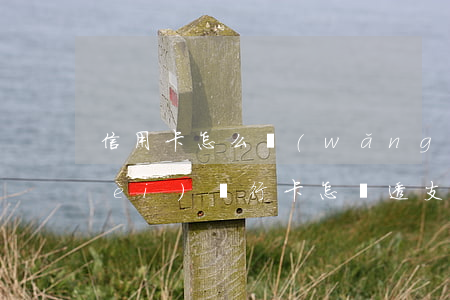 信用卡怎么網(wǎng)上透支消費(fèi)(銀行卡怎樣透支消費(fèi))