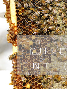 信用卡怎么能不逾期還(怎么樣信用卡還款不掏手續(xù)費(fèi))