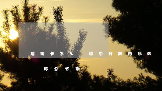 信用卡怎么辦停息分期(如何向銀行信用卡申請停息分期)