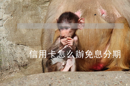 信用卡怎么辦免息分期
