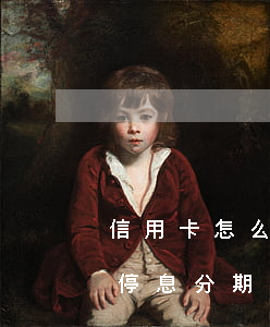 信用卡怎么辦理停息分期-信用卡怎么辦理停息分期還款