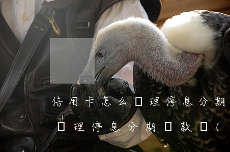 信用卡怎么辦理停息分期還款-信用卡怎么辦理停息分期還款業(yè)務