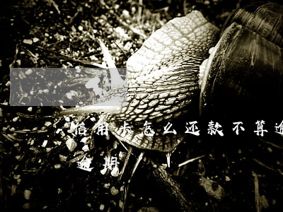 信用卡怎么还款不算逾期(还信用卡过几天算逾期)