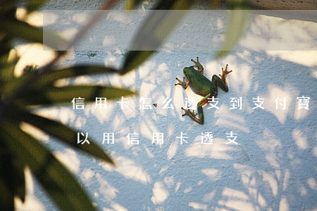 信用卡怎么透支到支付寶(支付寶怎么樣才可以用信用卡透支)