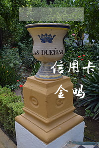 信用卡怎么透支提现金吗(信用卡透支能提现金吗)