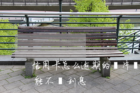 信用卡怎么逾期的圖片 還逾期信用卡怎么才能不還利息