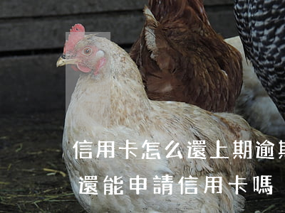 信用卡怎么還上期逾期賬單(有逾期還款記錄還能申請信用卡嗎)