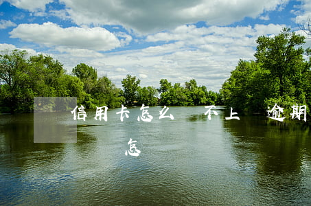 信用卡怎么還不上會逾期(如果信用卡逾期不還會怎樣)
