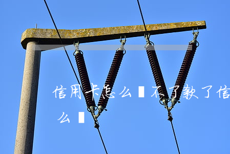信用卡怎么還不了款了(信用卡還不了款了怎么辦)