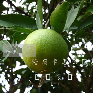 信用卡怎么還款不會逾期(信用卡一直逾期不還會怎樣)