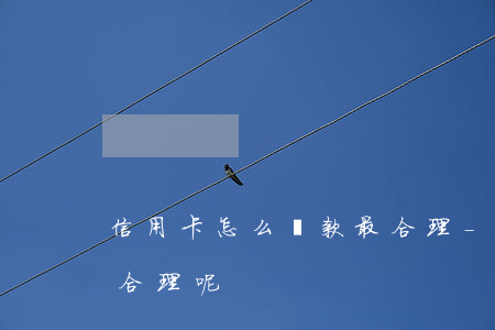 信用卡怎么還款最合理-信用卡怎么還款最合理呢