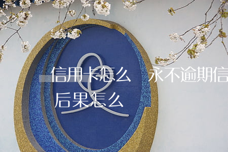 信用卡怎么還永不逾期(信用卡逾期一直不還后果怎么樣)