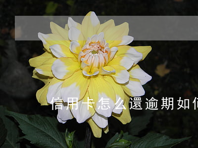 信用卡怎么還逾期(如何還逾期的信用卡)