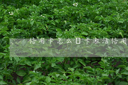 信用卡怎么開卡激活(信用卡怎么開卡激活)