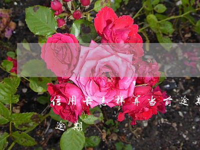 信用卡怎样算当前逾期(什么情况下信用卡算逾期)