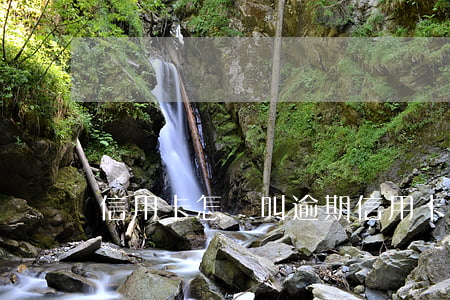 信用卡怎樣叫逾期(信用卡怎樣叫逾期)