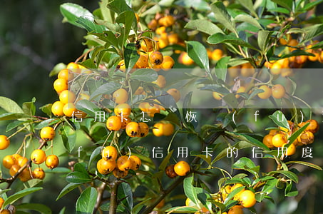 信用卡怎樣恢復(fù)逾期(怎么樣恢復(fù)信用卡的信用度)