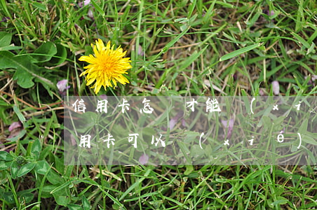 信用卡怎樣才能協(xié)商分期還款(信用卡可以協(xié)商分期嗎)