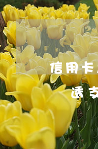 信用卡怎樣用支付寶透支(信用卡怎樣用支付寶透支)