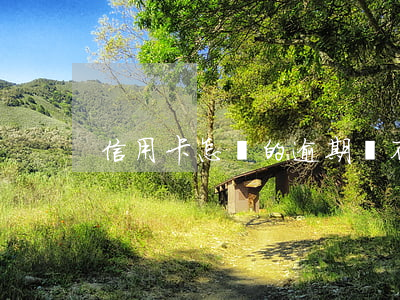 信用卡怎樣的逾期辦不了房貸