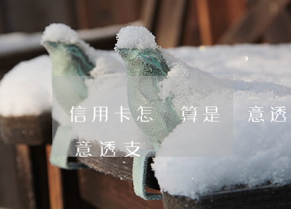 信用卡怎樣算是惡意透支(信用卡怎樣算是惡意透支)