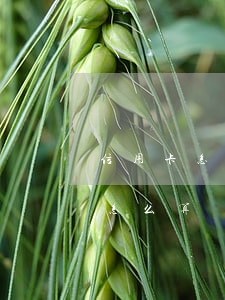 信用卡怎樣算逾期3個月(信用卡逾期3個月怎么算時間)