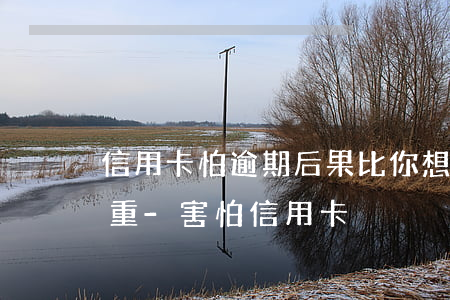 信用卡怕逾期后果比你想像的嚴(yán)重-害怕信用卡