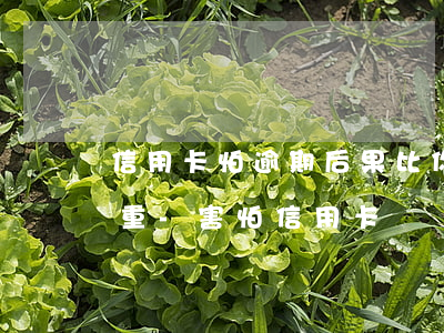 信用卡怕逾期后果比你想象的嚴(yán)重-害怕信用卡