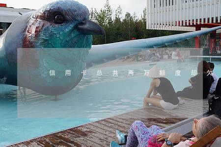 信用卡总共两万额度却欠了3万-
