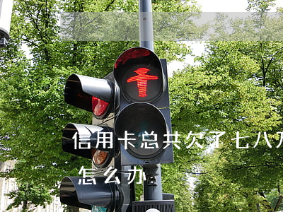 信用卡总共欠了七八万-欠信用卡七八十万怎么办