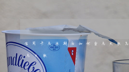 信用卡总逾期后如何查总欠款(怎么查信用卡总欠款)