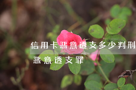 信用卡恶意透支多少判刑(怎样才构成信用卡恶意透支罪)
